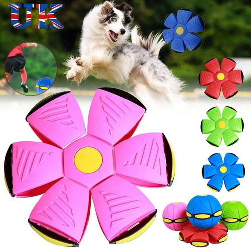Doggie disc ball with lights - disc,