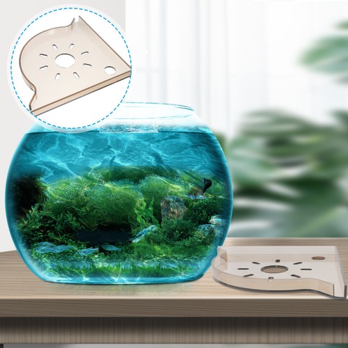Plant holder for - plant, aquarium