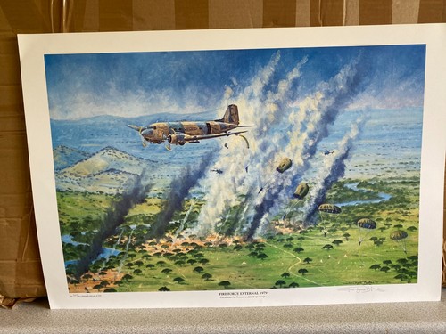 Dakota aviation art print - dakota,