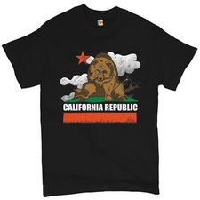 California Bear Facepalm