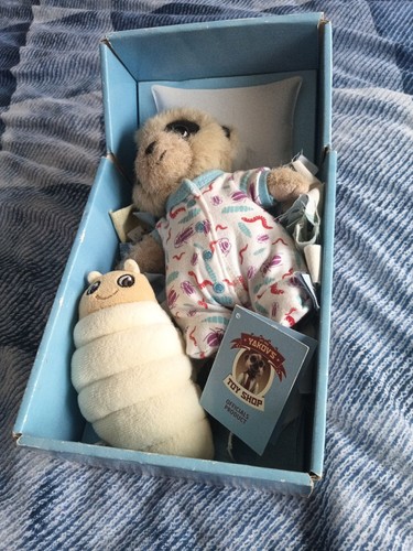 Baby oleg meerkat - oleg,