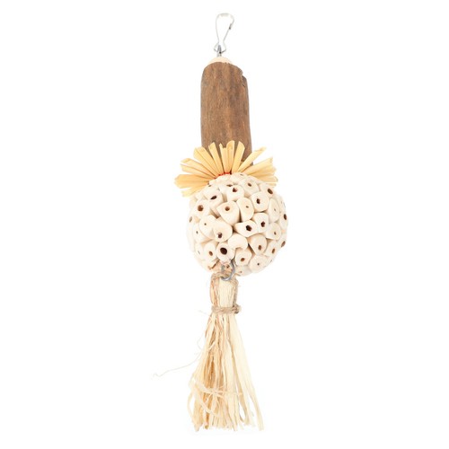 Parakeet cage accessories - cage, pet