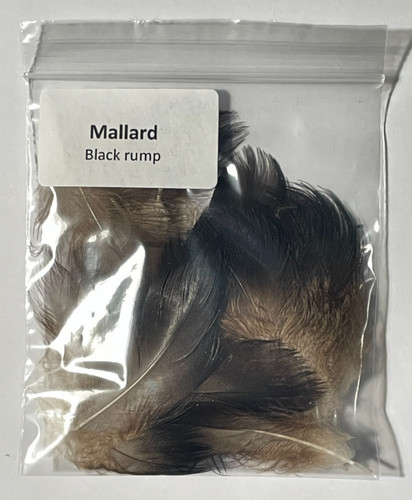 Mallard black rump for fly - mallard,