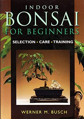 Indoor bonsai for - indoor,