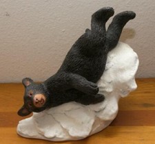 Country Artists Natural World