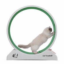 LeFeirr Cat Exercise Wheel -