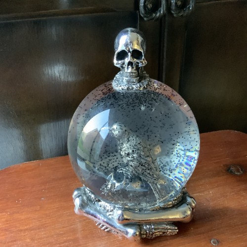 Unusual raven skull snow globe - unusual, raven/skull