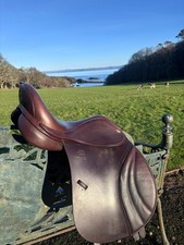 Fairfax Classic Low Wither