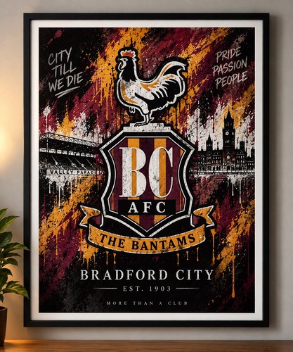 Bradford city afc - city,