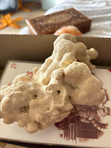 Live rock natural - porous, white