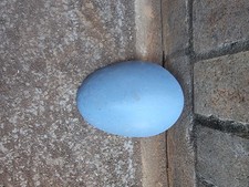 VW Beetle T1 1200 Semi W Decklid Popes Nose Number plate Light 111943111