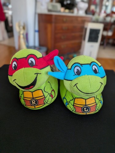 Teenage mutant ninja turtles - teenage,