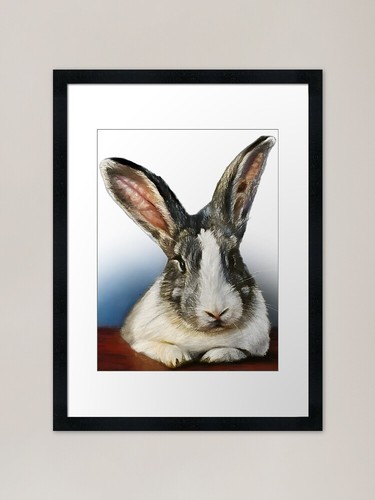 Big eared rabbit framed - framed, art
