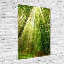 Acrylic Glass Wall Art Print