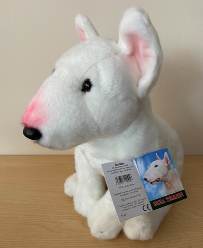 English bull terrier - english, choose