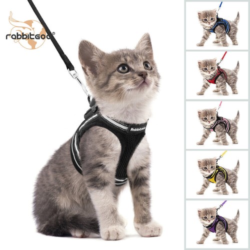 Rabbitgoo cat harness lead - &,