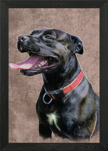 Old english bulldog - bulldog, framed