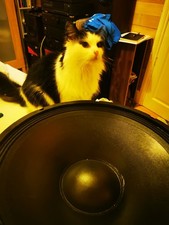 18 Inch Sound lab Full Range