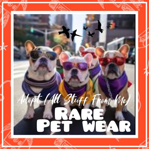 Adopt today - (all, stuff)