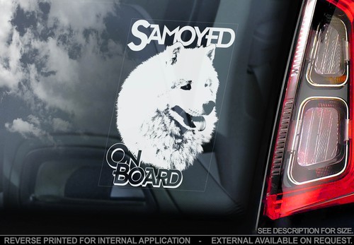 Samoyed car window sticker - samoyed,