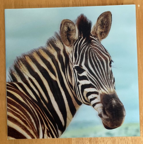 Zebra holographic carte - 'zebra’,