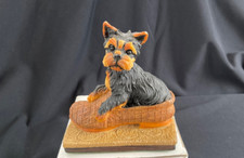 Cute YORKSIRE TERRIER sitting