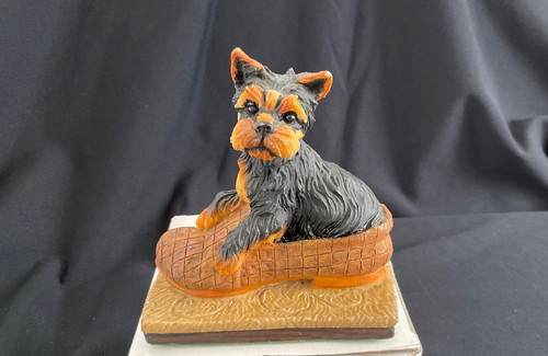 Cute yorksire terrier sitting - cute,