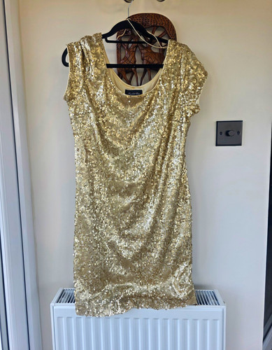 Lovely gold sequin dress