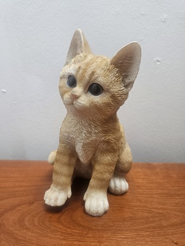 Vintage hotant ginger - hotant, tabby
