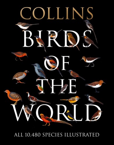 Birds world aldo a - birds,