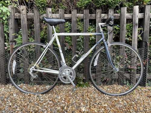 Raleigh equipe mens bicycle - raleigh,