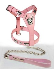 STAFFORDSHIRE BULL TERRIER