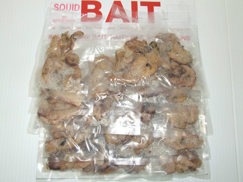 Preserved sea bait squid - preserved,