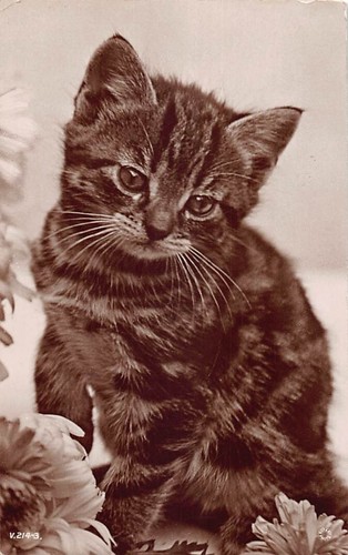 Family history postcard - history,
