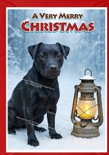 Patterdale Terrier Dog (4"x 6") Christmas Card (Blank inside) by Starprint