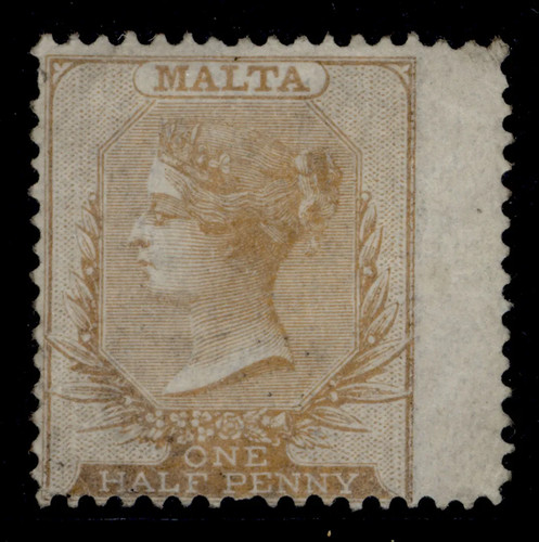Malta sg4 d - malta, buff