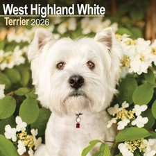 West Highland White Terrier