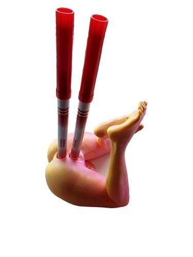 Pen holder sexy rude naughty - rude,