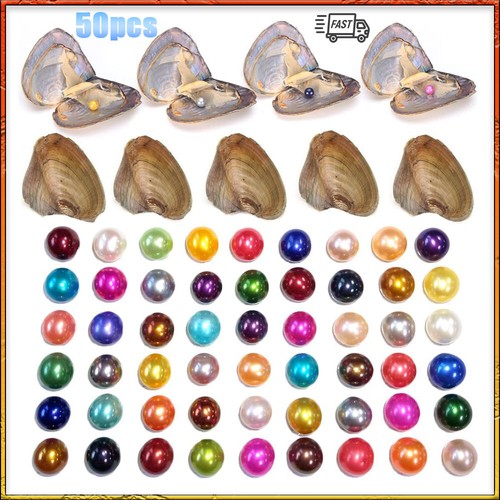50x fresh oysters with - with, pearls