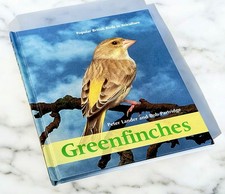 Greenfinches birds - greenfinches.,