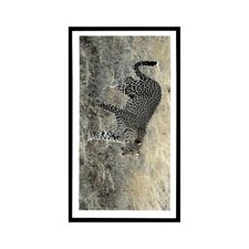 Leopard 1990 Grandee African