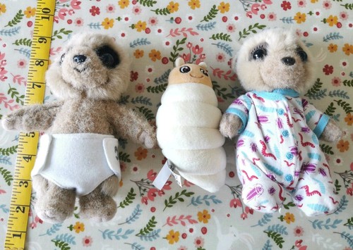 Meerkat baby oleg ayana - meerkat,