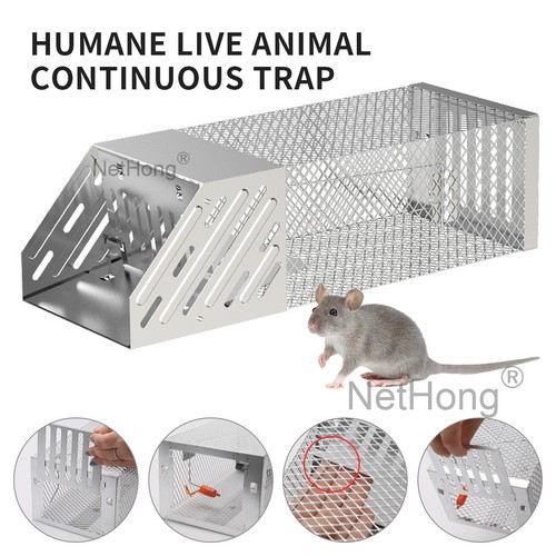 Humane live animal continuous - live,