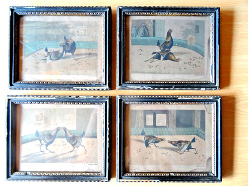 Cock fighting prints - prints, of