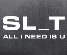 Sl_t All I Need Is U vinyl