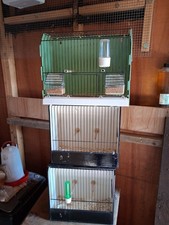 Finch Cages For Showing Or