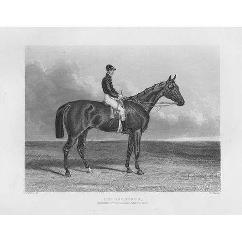 Cotherstone racehorse winner - cotherstone, racehorse,