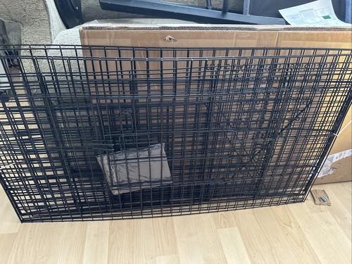 Animal ark run for - animal, rabbits/