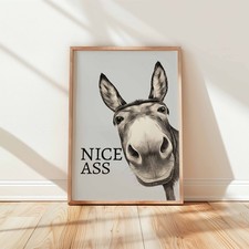 Funny Donkey Wall Art Print