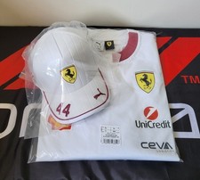 Ferrari F1 Lewis Hamilton